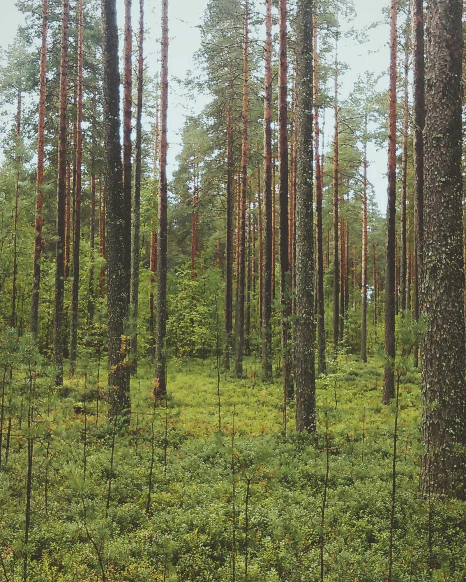 Placeholder photograph 12