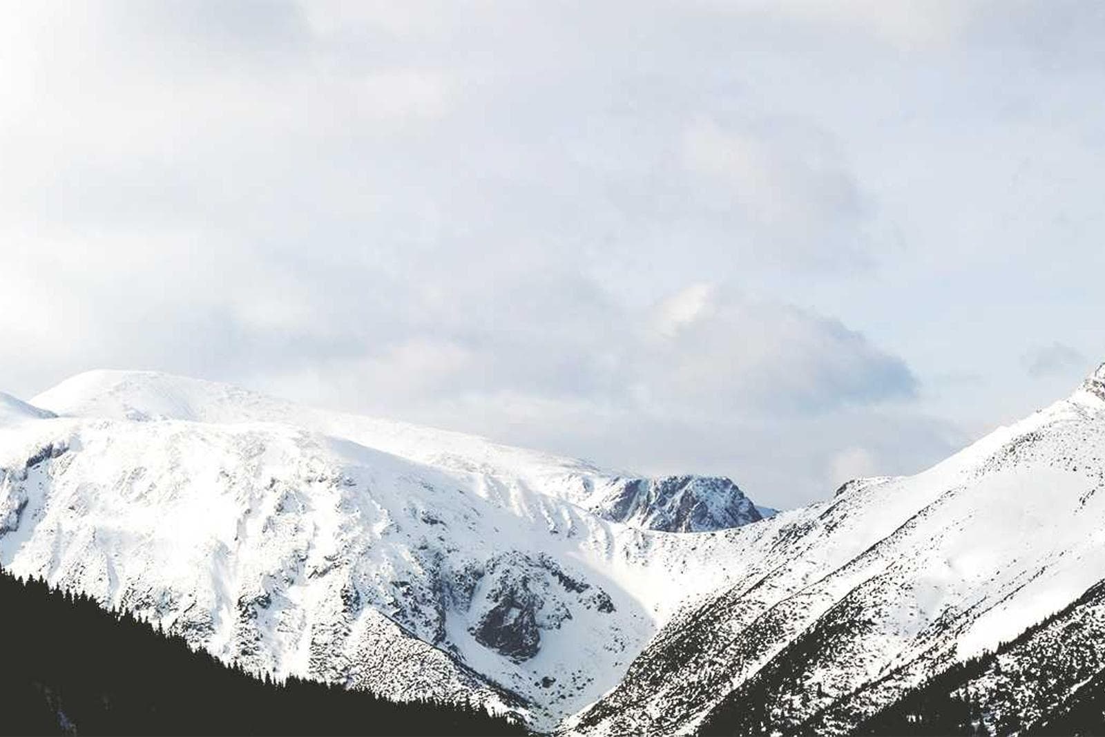 Placeholder photograph 17