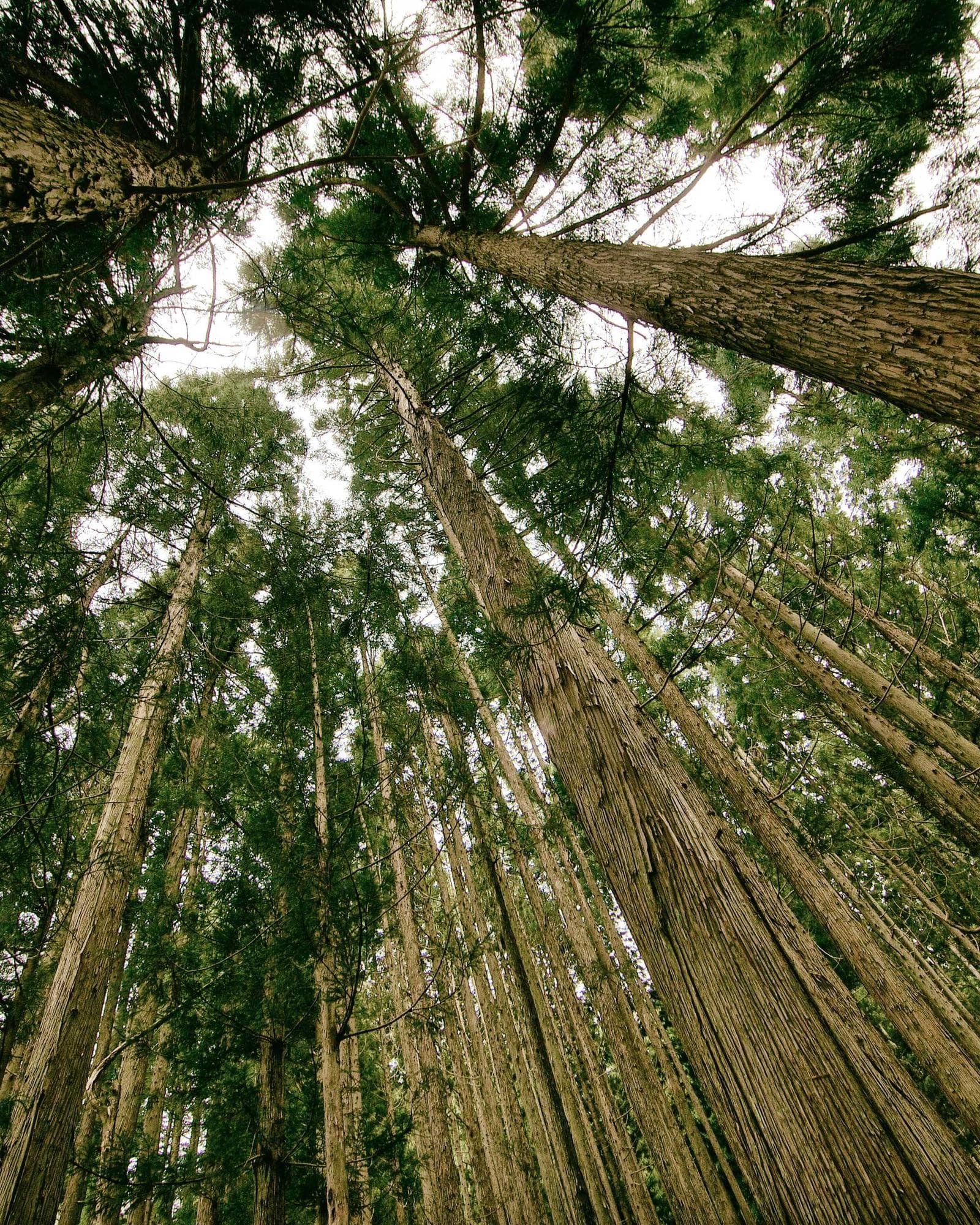 Placeholder photograph 33