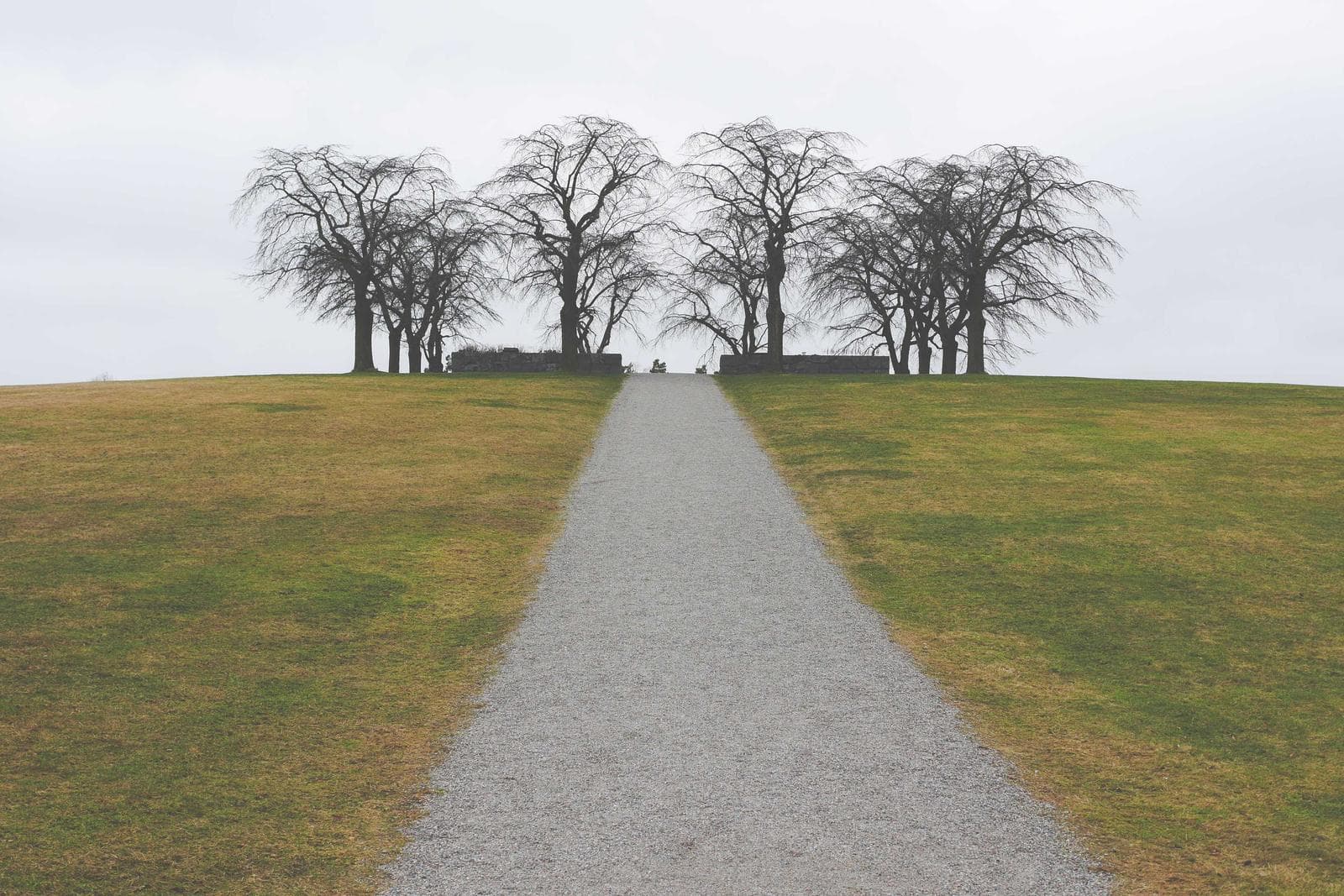 Placeholder photograph 7